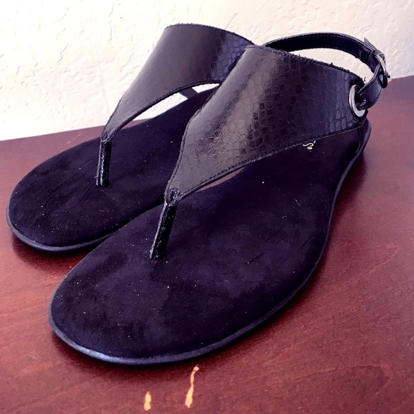 aerosoles conchlusion